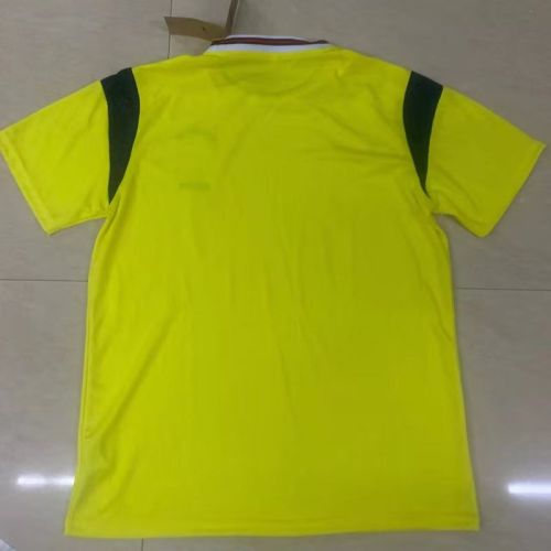 Fan Version 2023-2024 Brazil Yellow Soccer Training Jersey Brasil Camisetas de Futbol