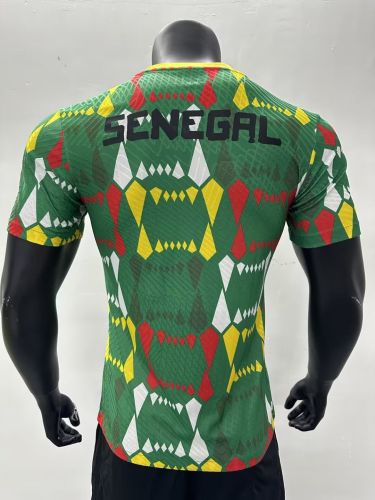 Player Version 2023-2024 Senegal Colorful Soccer Pre-match Top Football Shirt