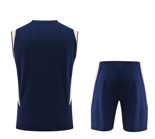 Adult Uniform 2023-2024 Ajax Dark Blue Soccer Training Vest and Shorts