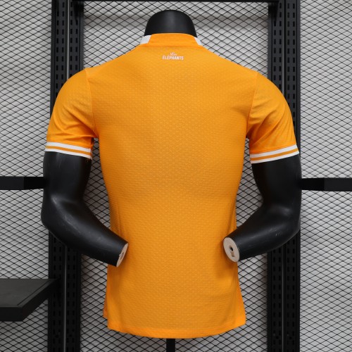 Player Version Ivory Coast Football Shirt 2022 Côte d'Ivoire Home Soccer Jersey