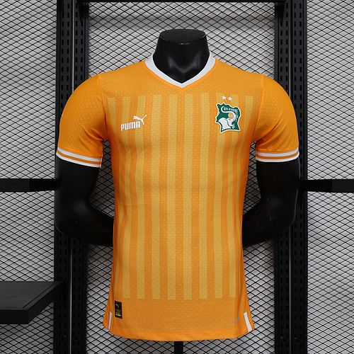 Player Version Ivory Coast Football Shirt 2022 Côte d'Ivoire Home Soccer Jersey