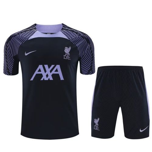 Adult Uniform 2023-2024 Liverpool Borland Soccer Training Jersey and Shorts Football Kits