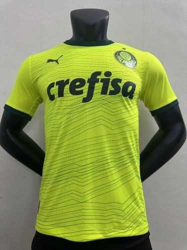 Player Version 2023-2024 Palmeiras Third Away Green Soccer Jersey