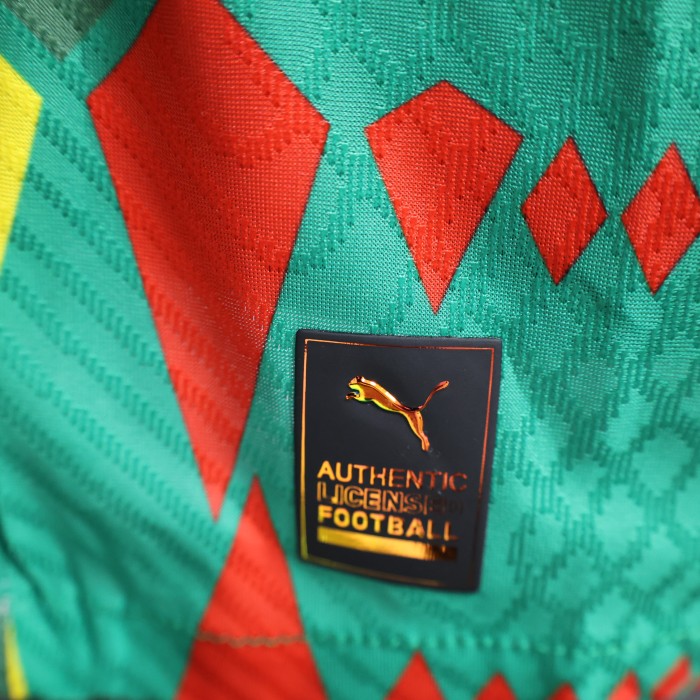Player Version 2023-2024 Senegal Colorful Soccer Pre-match Top Football Shirt