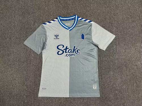 Fan Version 2023-2024 Everton Third Away Grey Football Shirt