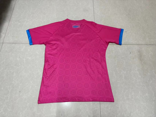 Fan Version 2023-2024 Gremio Pink Soccer Training Jersey