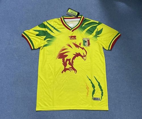 Fan Version 2023 Mali Home Soccer Jersey Football Shirt