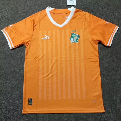 Fan Version Ivory Coast Football Shirt 2022 Côte d'Ivoire Home Soccer Jersey