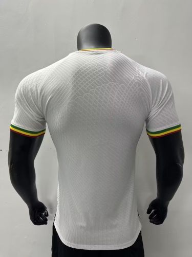 Player Version 2023 Mali Home Soccer Jersey Football Shirt