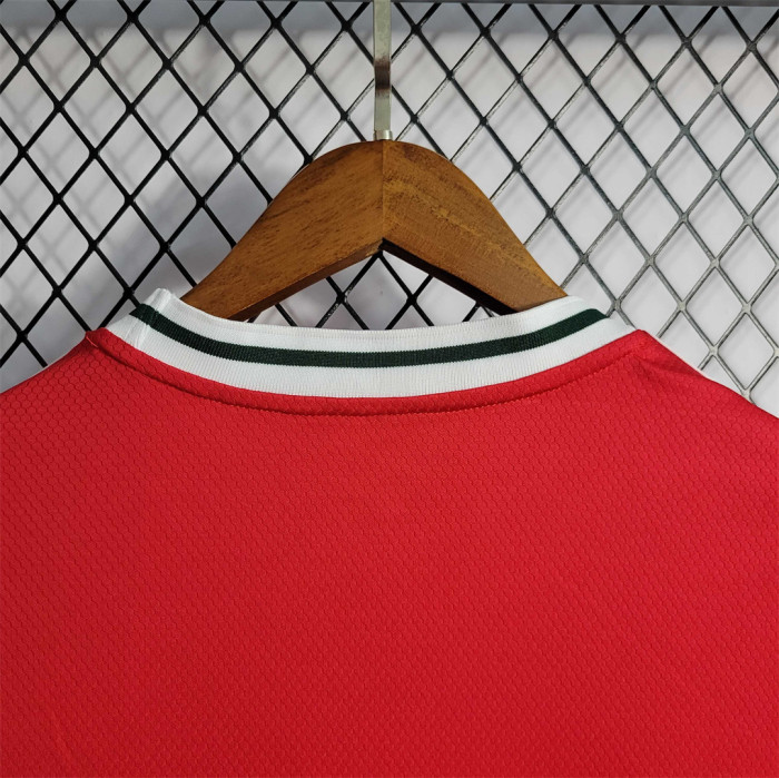 Fans Version 2022 World Cup Wales Home Soccer Jersey
