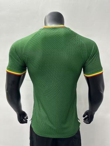 Player Version 2023 Mali Away Green Soccer Jersey Football Shirt