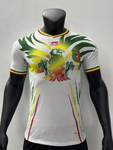 Player Version 2023 Mali Home Soccer Jersey Football Shirt