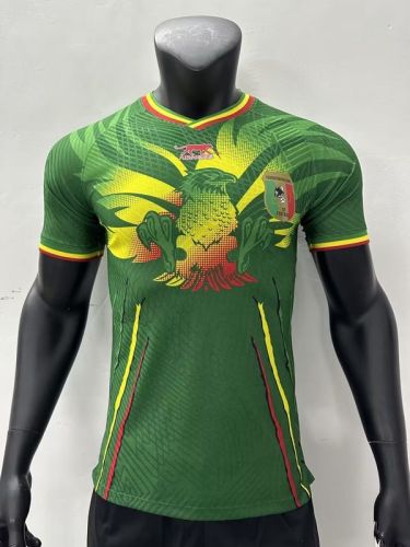 Player Version 2023 Mali Away Green Soccer Jersey Football Shirt