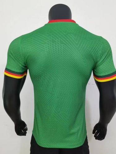 Player Version 2023 Cameroon Home Soccer Jersey