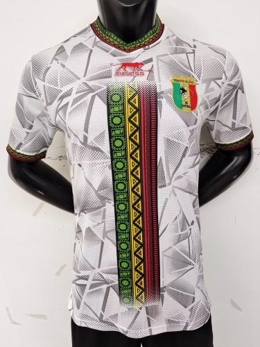 Player Version 2023-2024 Mali Home Soccer Jersey Football Shirt