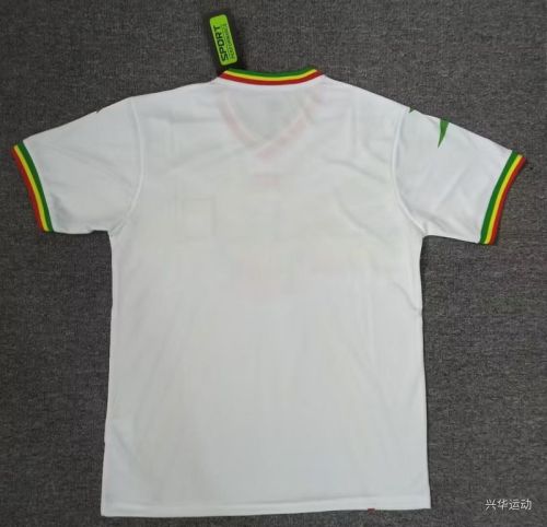 Fan Version 2023 Mali Home White Soccer Jersey Football Shirt