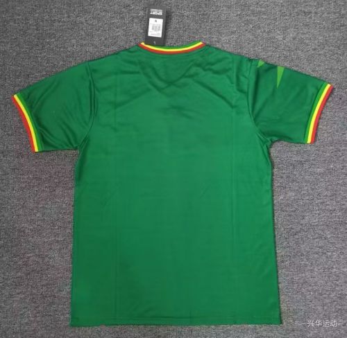 Fan Version 2023 Mali Away Green Soccer Jersey Football Shirt