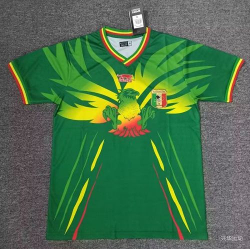 Fan Version 2023 Mali Away Green Soccer Jersey Football Shirt