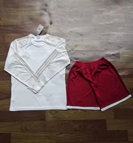 Adult Uniform Long Sleeve 2023-2024 Bayern Munich Third Away Soccer Jersey Shorts