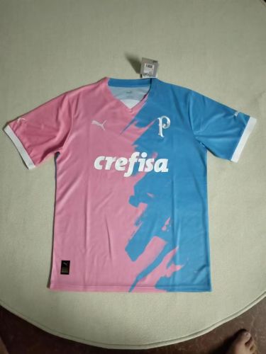 Fan Version Palmeiras 2023 Pink October Shirt Soccer Jersey
