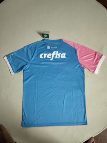 Fan Version Palmeiras 2023 Pink October Shirt Soccer Jersey