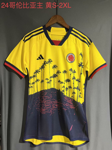 Fan Version 2023-2024 Colombia Home Soccer Jersey