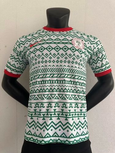 Player Version 2023-2024 Nigeria White/Green Soccer Jersey
