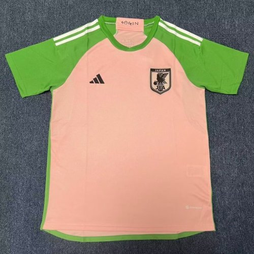 Fan Version 2023-2024 Japan Pink/Green Soccer Training Jersey