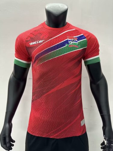 Fan Version 2023-2024 Gambia Home Soccer Jersey