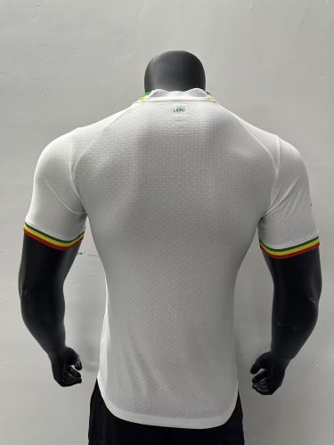 Player Version 2023-2024 Senegal Home Soccer Jersey Football Shirt