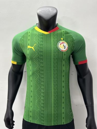 Player Version 2023-2024 Senegal Away Green Soccer Jersey Football Shirt