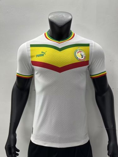 Player Version 2023-2024 Senegal Home Soccer Jersey Football Shirt