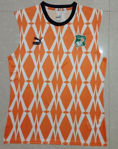 Fan Version Ivory Coast Football Shirt 2023 Côte d'Ivoire Orange Soccer Vest