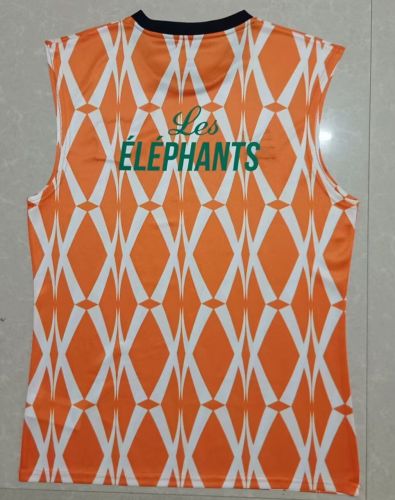 Fan Version Ivory Coast Football Shirt 2023 Côte d'Ivoire Orange Soccer Vest