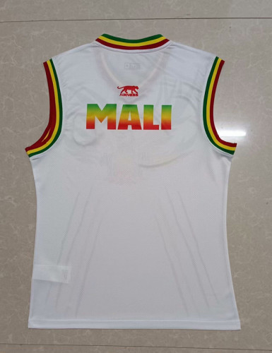 Fan Version 2023 Mali White Soccer Vest
