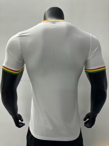 Player Version 2023-2024 Senegal Special Edition White Football Shirt