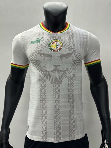 Player Version 2023-2024 Senegal Special Edition White Football Shirt