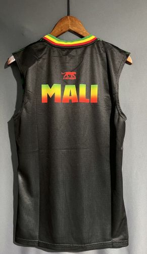 Fan Version 2023 Mali Black/Green Soccer Vest