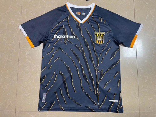 Fan Version 2023-2024 Tigres UANL Grey Concept Version Soccer Jersey