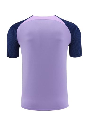 2023-2024 Tottenham Hotspur Purple/Borland Football Shirt Spurs Soccer Training Jersey