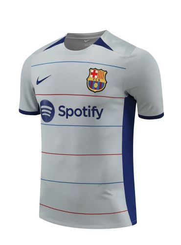 Fan Version 2023-2024 Barcelona Grey/Borland Soccer Training Jersey