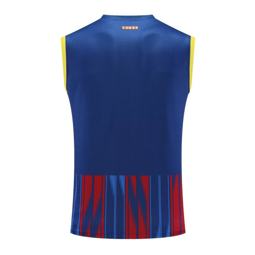 Fan Version 2023-2024 Barcelona Red/Blue/Yellow Soccer Training Vest
