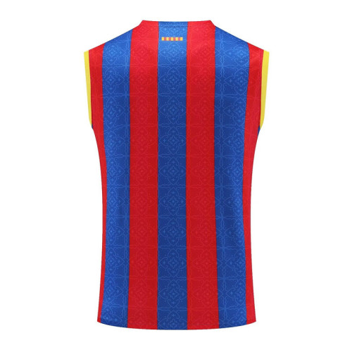 Fan Version 2023-2024 Barcelona Colorful Soccer Training Vest
