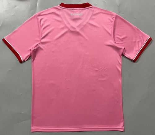 Fan Version 2023-2024 Flamengo Pink Goalkeeper Soccer Jersey