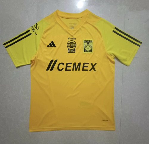 Fan Version 2023-2024 Tigres UANL Yellow Soccer Training Jersey