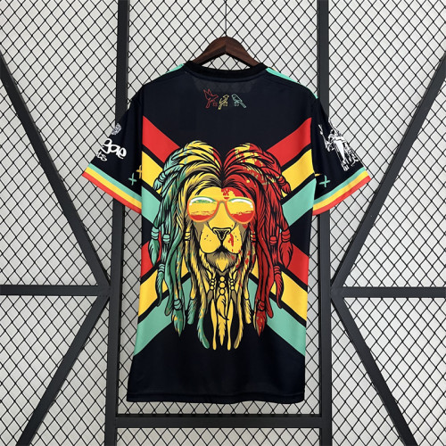 Fan Version 2023-2024 Ajax Bob Marley Edition Soccer Jersey Football Shirt