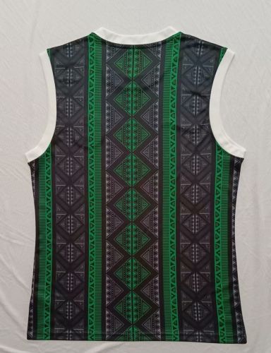 Fan Version 2023-2024 Nigeria Black/Green Soccer Training Vest