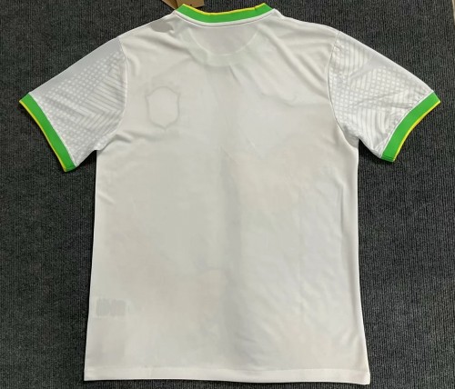 Fan Version 2022-2023 Brazil White Pigeon Special Edition Soccer Jersey Brasil Camisetas de Futbol