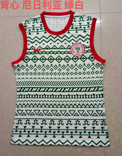 Fan Version 2023-2024 Nigeria White/Green Soccer Training Vest
