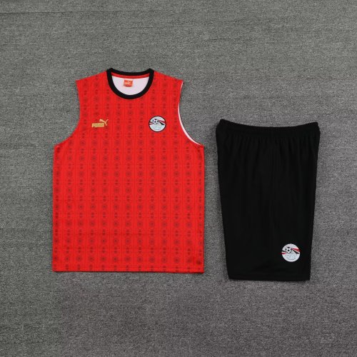 Adult Uniform 2023-2024 Algeria Red Soccer Training Vest and Shorts